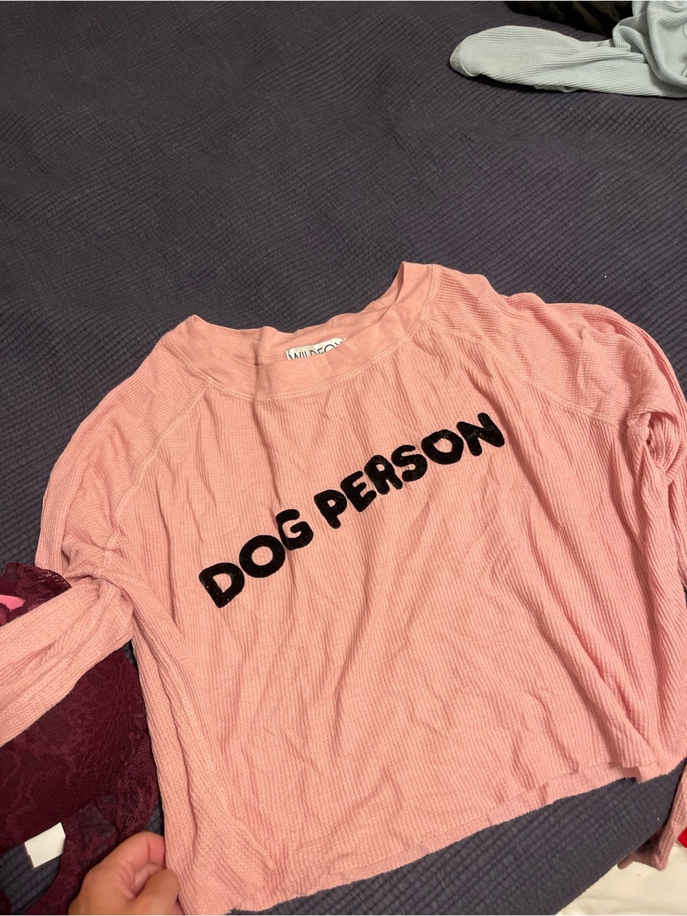Wild Fox Dog Person Crop Tee